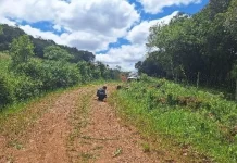 Homem é encontrado morto no interior de Campos Novos Homem é encontrado morto no interior de Campos Novos