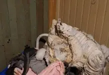 Seis homens invadem casa e colocam fogo em idoso acamado no Meio-Oeste Seis homens invadem casa e ateiam fogo em homem acamado em Luzerna