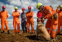 Bombeiros Voluntários em treinamento para resgate de vítimas soterradas Bombeiros Voluntários em treinamento para resgate de vítimas soterradas